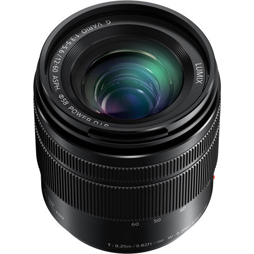 Panasonic Lumix DC-G100DM Black Mirrorless Camera with 12-60mm f/3.5-5.6 Lens