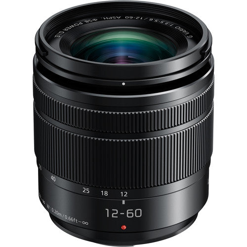 Panasonic Lumix DC-G100DM Black Mirrorless Camera with 12-60mm f/3.5-5.6 Lens