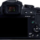 Panasonic DC-FZ85D Digital Camera (Black)