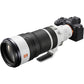 Sony FE 100-400mm F/4.5 GM OSS Lens (SEL100400MC)