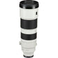 Sony FE 200-600mm F5.6-6.3 G OSS Lens