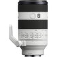 Sony FE 70-200mm F/4 Macro G OSS II Lens with FE 2X Teleconverter